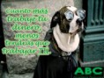 /album/consultores-financieros-abc/a11825979-1610772719205245-1014659466863745376-n-jpg2/